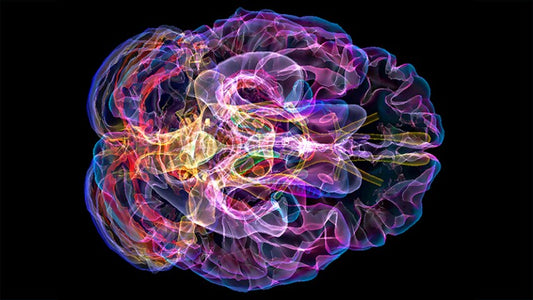 Stop the Silence: Speak Up About Alzheimer's